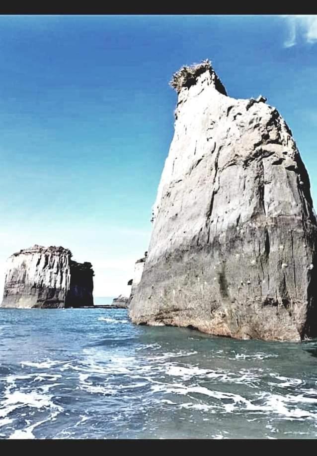 The Hole In The Rock Yurt Otel Cape Foulwind Dış mekan fotoğraf